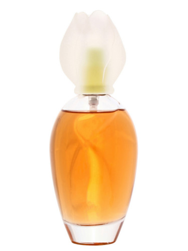 Fleur de Narcisse