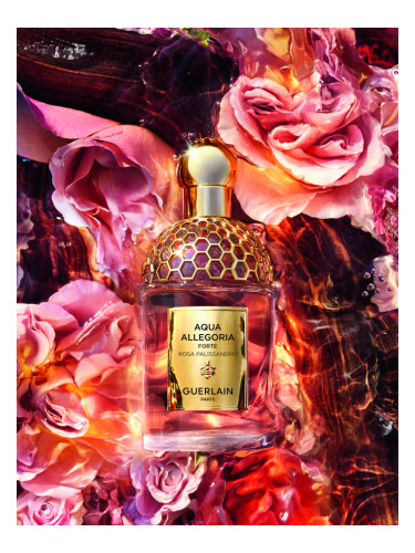 Aqua Allegoria Forte Rosa Palissandro