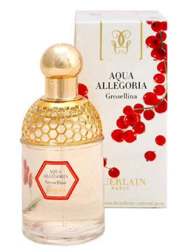 Aqua Allegoria Grosellina