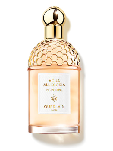 Aqua Allegoria Pamplelune