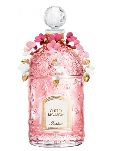 Cherry Blossom 2020 Millésime