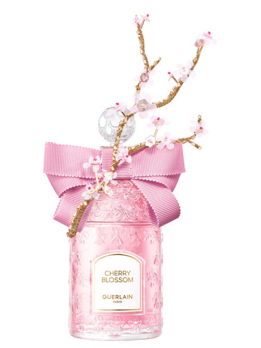 Cherry Blossom 2023 Millésime