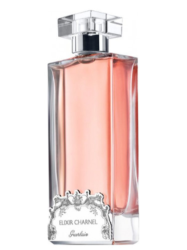 Elixir Charnel Gourmand Coquin
