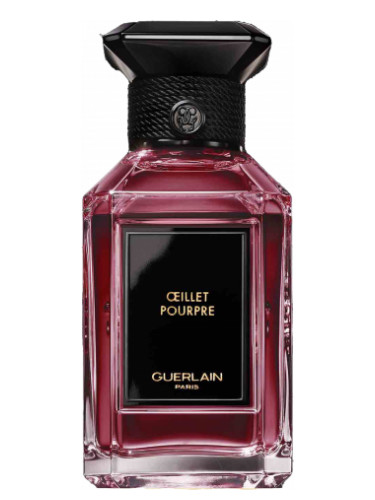 Oeillet Pourpre