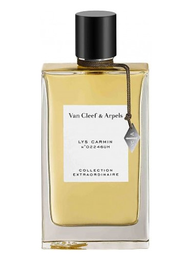 Lys Carmin