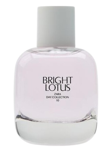 Bright Lotus