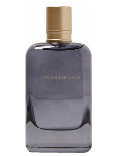 Damascene Rose