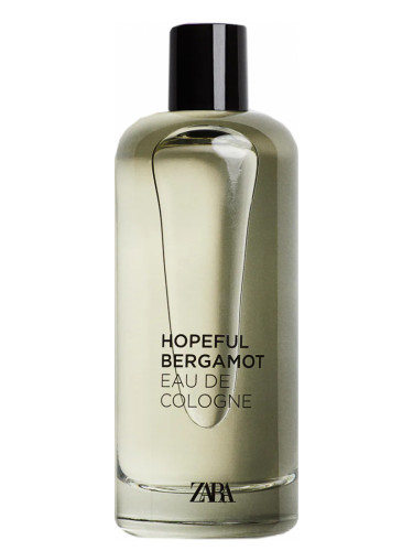 Hopeful Bergamot