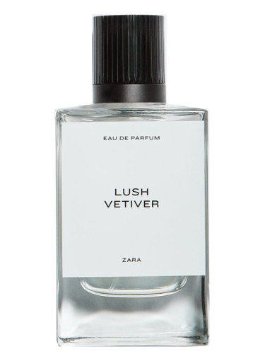 Lush Vetiver