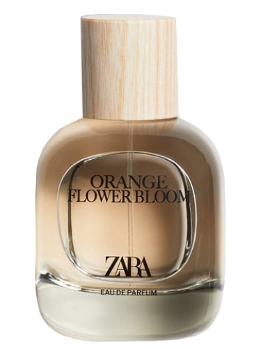 Orange Flower Bloom