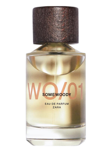 WO/01 Somewoody