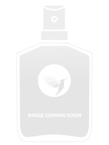 Zara Urban Male Dark