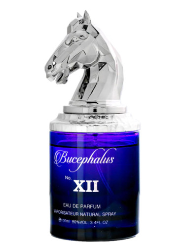 Bucephalus XII