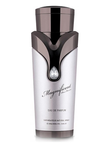 Magnificent Pour Homme