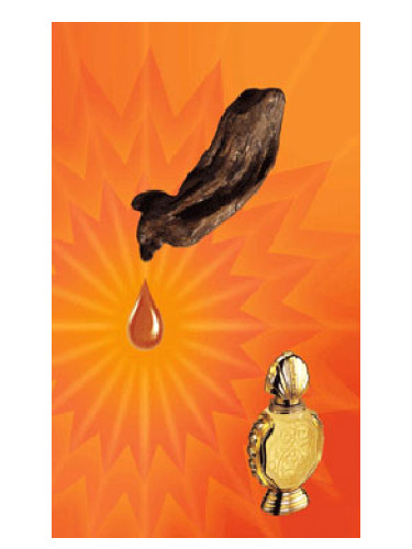 Shatha Al Oudh