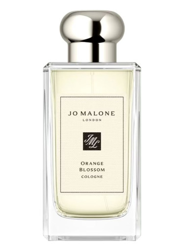 Orange Blossom