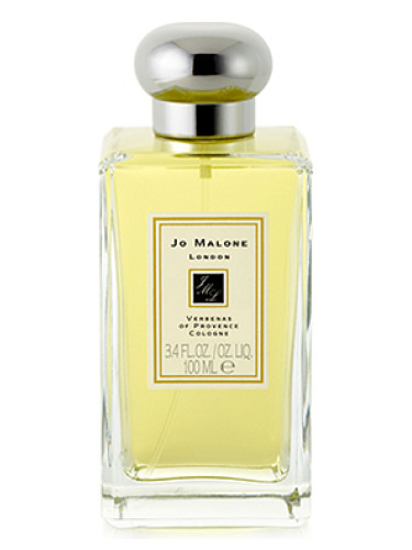 Verbenas of Provence