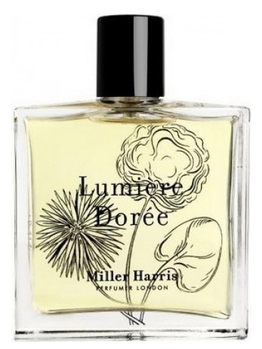 Lumière Dorée