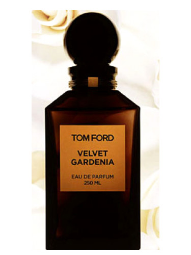 Velvet Gardenia