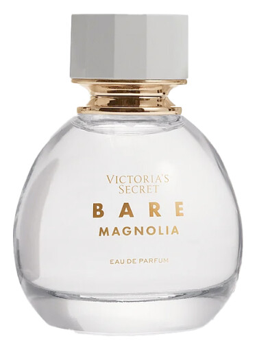 Bare Magnolia
