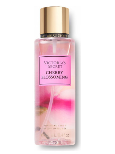 Cherry Blossoming