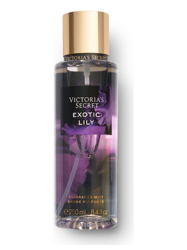 Exotic Lily