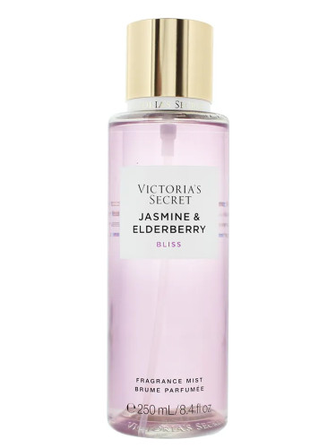 Jasmine Elderberry