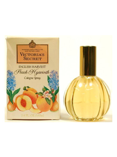 Peach Hyacinth