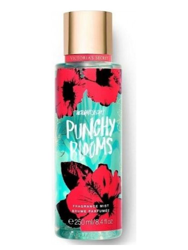 Punchy Blooms
