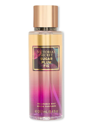 Sugar Plum Fig