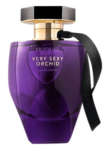 Very Sexy Orchid