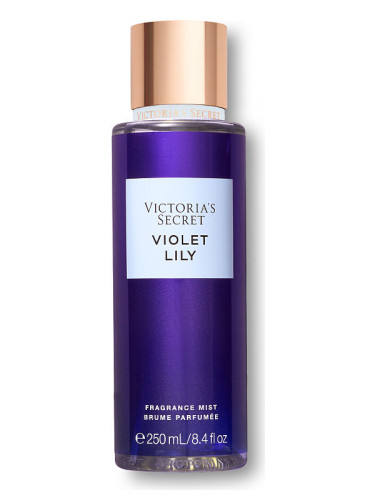 Violet Lily