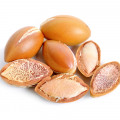 Grapefruit