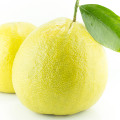 Grapefruit