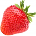 Grapefruit