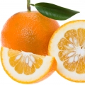 Grapefruit