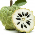 Grapefruit