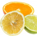 Grapefruit