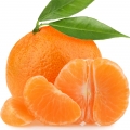 Grapefruit