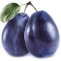 Grapefruit