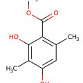 Grapefruit