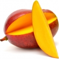 Grapefruit