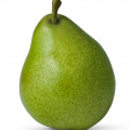 Grapefruit