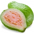 Grapefruit