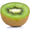 Grapefruit