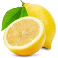 Grapefruit