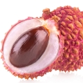 Grapefruit