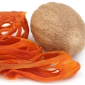 Grapefruit