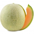 Grapefruit
