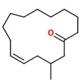 Grapefruit